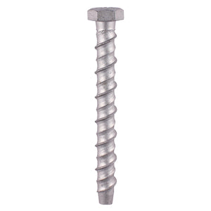 Multi-Fix Bolt - Hex Head