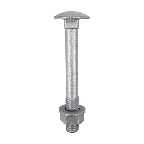 A domed head bolt with a square anti spin shoulder mainly used for clamping timber or attaching ironmongery to timber. 
<special id="21"/>Coated with a patented multi-layer corrosion resistant plating to withstand 1,000 hours salt spray test making it ideal for external applications. Supplied with hex nuts and form A washers. 