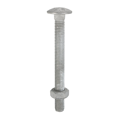 A domed head bolt with a square anti spin shoulder mainly used for clamping timber or attaching ironmongery to timber. NOTE: Nuts included.