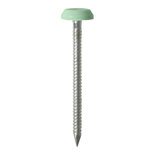 Impact and UV resistant A4 Stainless Steel polymer headed nails. Used for fixing soffits, fascias, roofline trims and where other aesthetic fixings are required. 