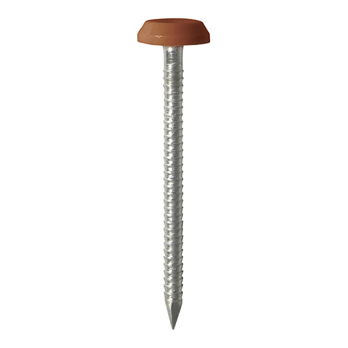 Impact and UV resistant A4 Stainless Steel polymer headed nails. Used for fixing soffits, fascias, roofline trims and where other aesthetic fixings are required. 