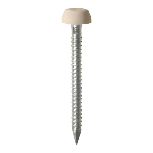 Impact and UV resistant A4 Stainless Steel polymer headed nails. Used for fixing soffits, fascias, roofline trims and where other aesthetic fixings are required. 