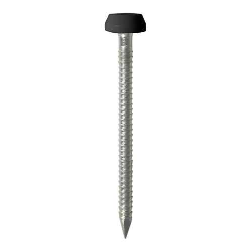 Impact and UV resistant A4 Stainless Steel polymer headed nails. Used for fixing soffits, fascias, roofline trims and where other aesthetic fixings are required. 