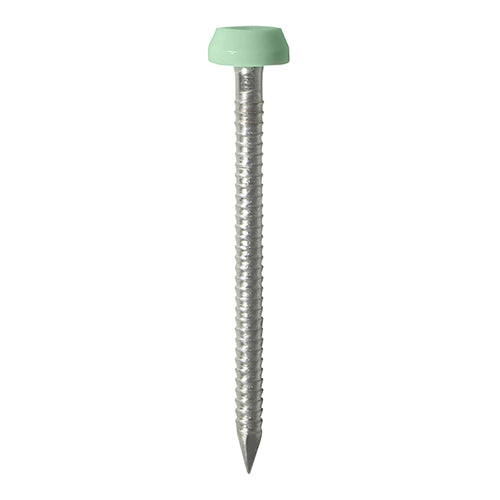 Impact and UV resistant A4 Stainless Steel polymer headed nails. Used for fixing soffits, fascias, roofline trims and where other aesthetic fixings are required. 