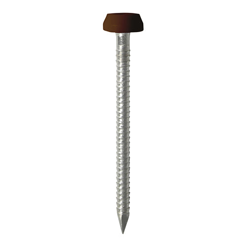 Impact and UV resistant A4 Stainless Steel polymer headed nails. Used for fixing soffits, fascias, roofline trims and where other aesthetic fixings are required. 