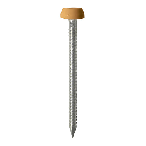 Impact and UV resistant A4 Stainless Steel polymer headed nails. Used for fixing soffits, fascias, roofline trims and where other aesthetic fixings are required. 