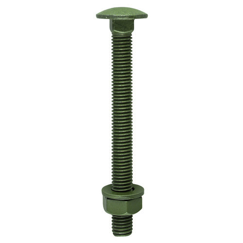 A domed head bolt with a square anti spin shoulder mainly used for clamping timber or attaching ironmongery to timber. 
<special id="21"/>Coated with a patented multi-layer corrosion resistant plating to withstand 500 hours salt spray making it ideal for external applications. 